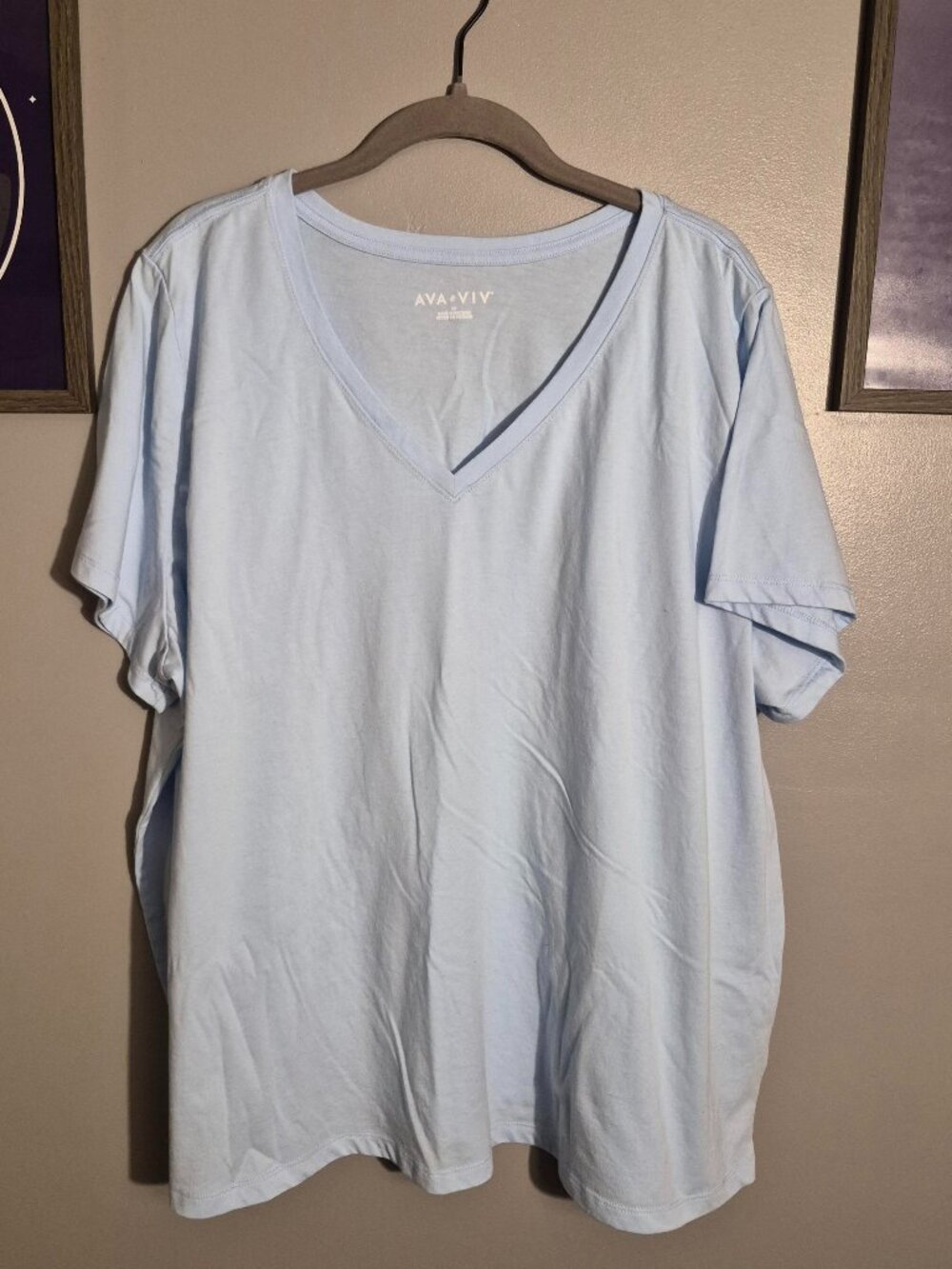 Light Blue V-Neck Top